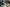 Specialized Epic Sram nx (Taille L)