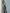 Specialized Epic Sram nx (Taille L)